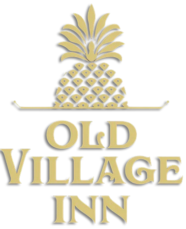 The Old Village Inn