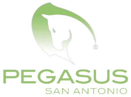 Pegasus Nightclub